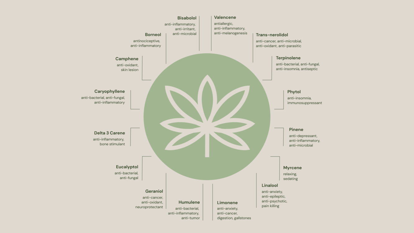 Terpenes & Kaneh Bosm